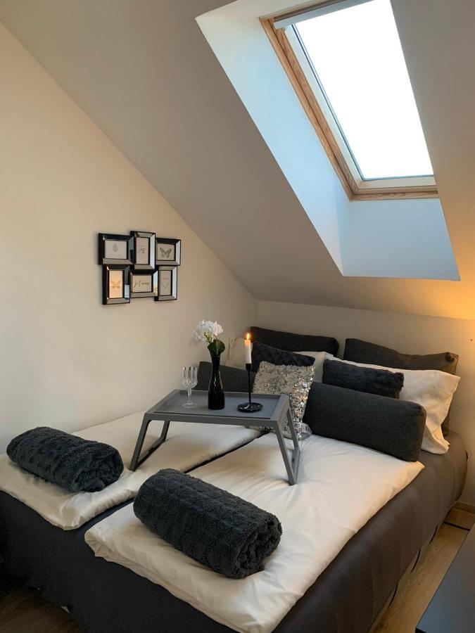 Apartment Mansarda Maribor Exterior photo