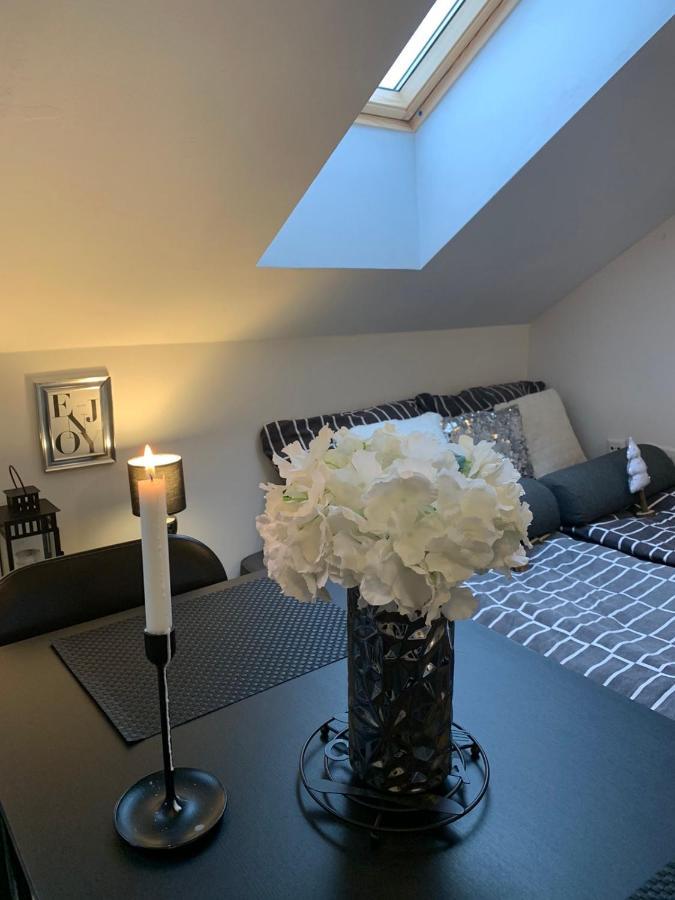 Apartment Mansarda Maribor Exterior photo
